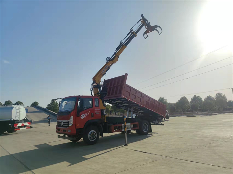 SINOTRUK Wangpai 4x2 Grab Dump Truck