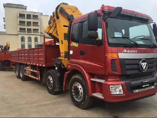 Foton Auman 8x4 Truck With Crane