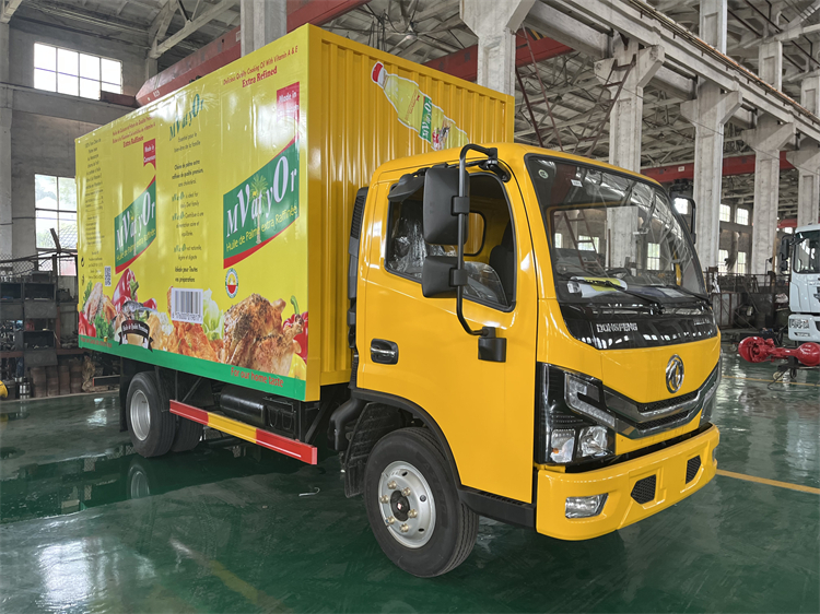 Dongfeng Dollicar 4x2 4-5T Van Truck