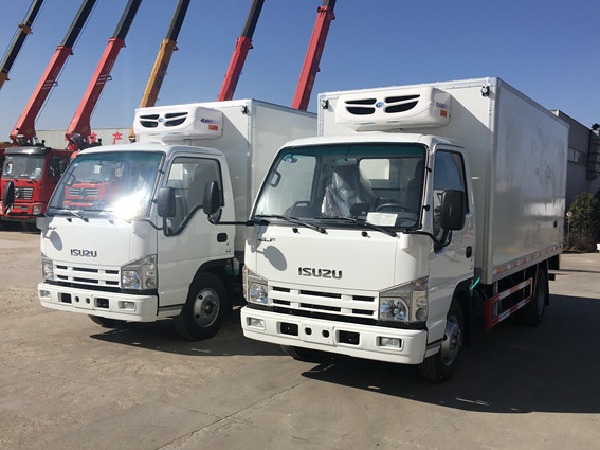 ISUZU 100P 4x2 3-5T Small Freezer Van Truck