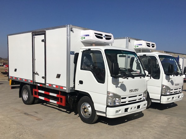 ISUZU 100P 4x2 3-5T Small Freezer Van Truck