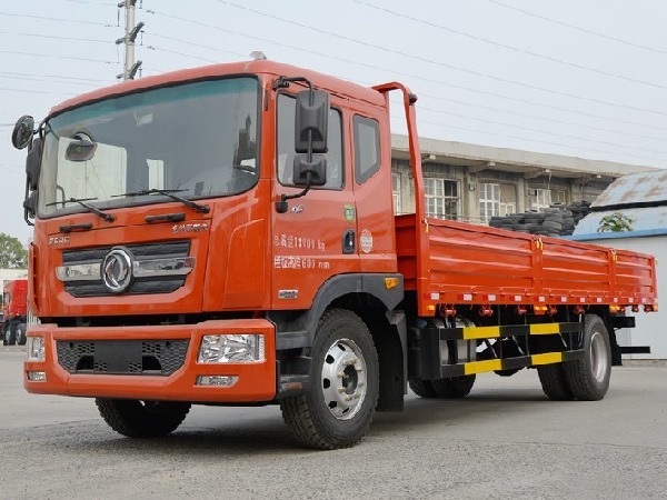 Dongfeng D9 4x2 12-15T Cargo Truck