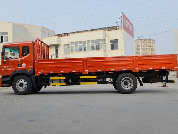 Dongfeng D9 4x2 12-15T Cargo Truck