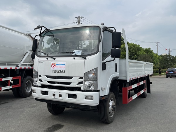ISUZU 700P 4x2 8-10T Cargo Lorry Truck