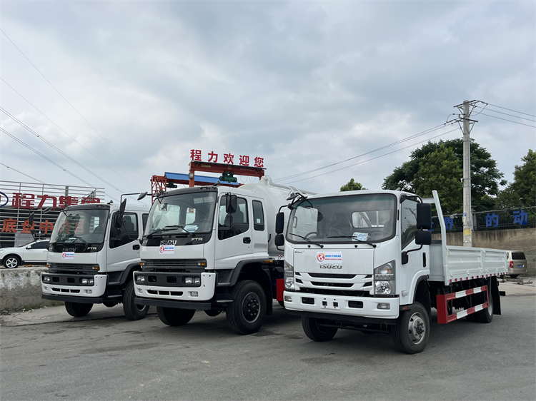 ISUZU 700P 4x2 8-10T Cargo Lorry Truck