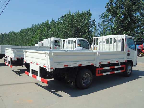 Dongfeng FRK 4x2 3.5T Cargo Truck
