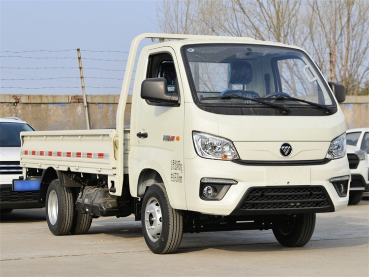 FOTON M1 4x2 2-3T Mini Cargo Truck