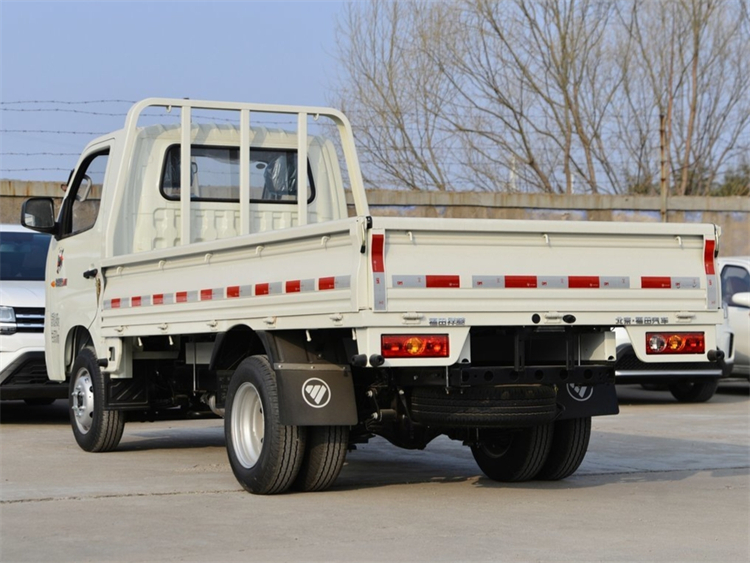 FOTON M1 4x2 2-3T Mini Cargo Truck
